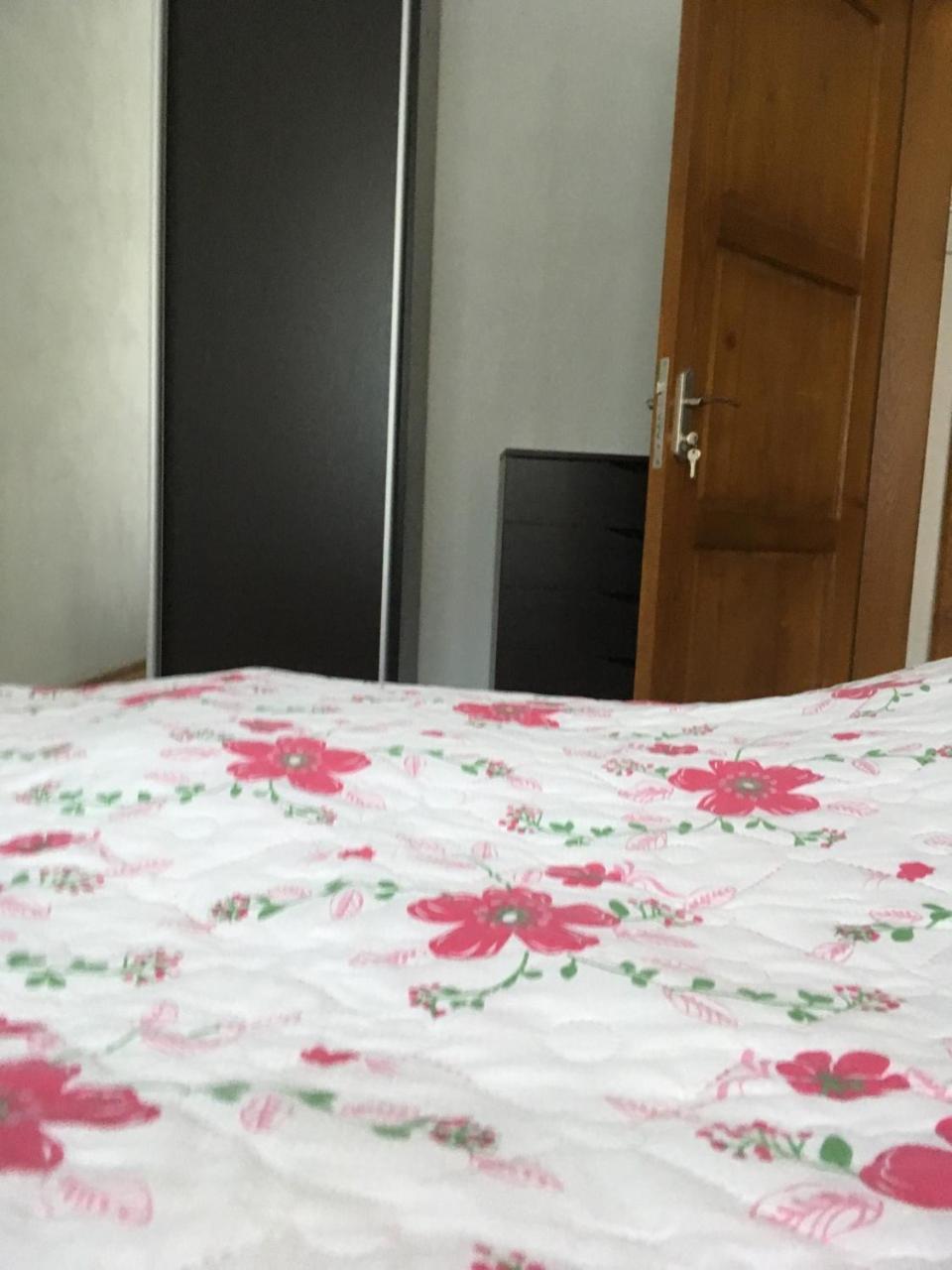 Apartaments In Karpaty Mizhhirya  Eksteriør billede