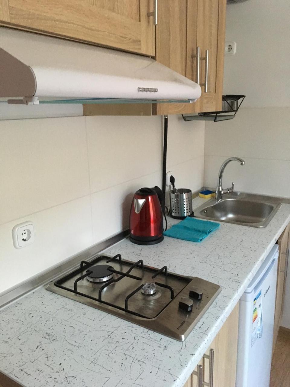 Apartaments In Karpaty Mizhhirya  Eksteriør billede