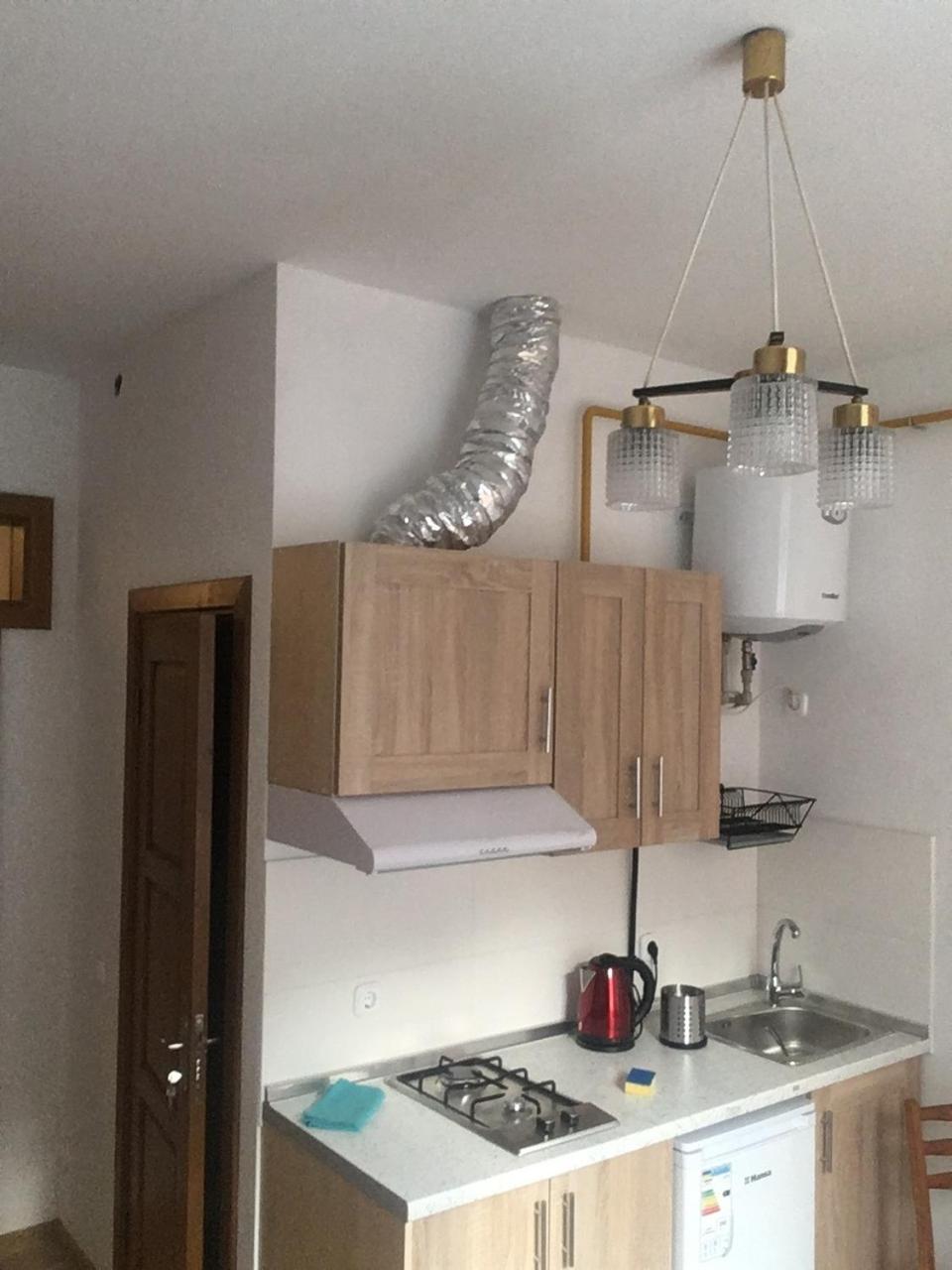 Apartaments In Karpaty Mizhhirya  Eksteriør billede