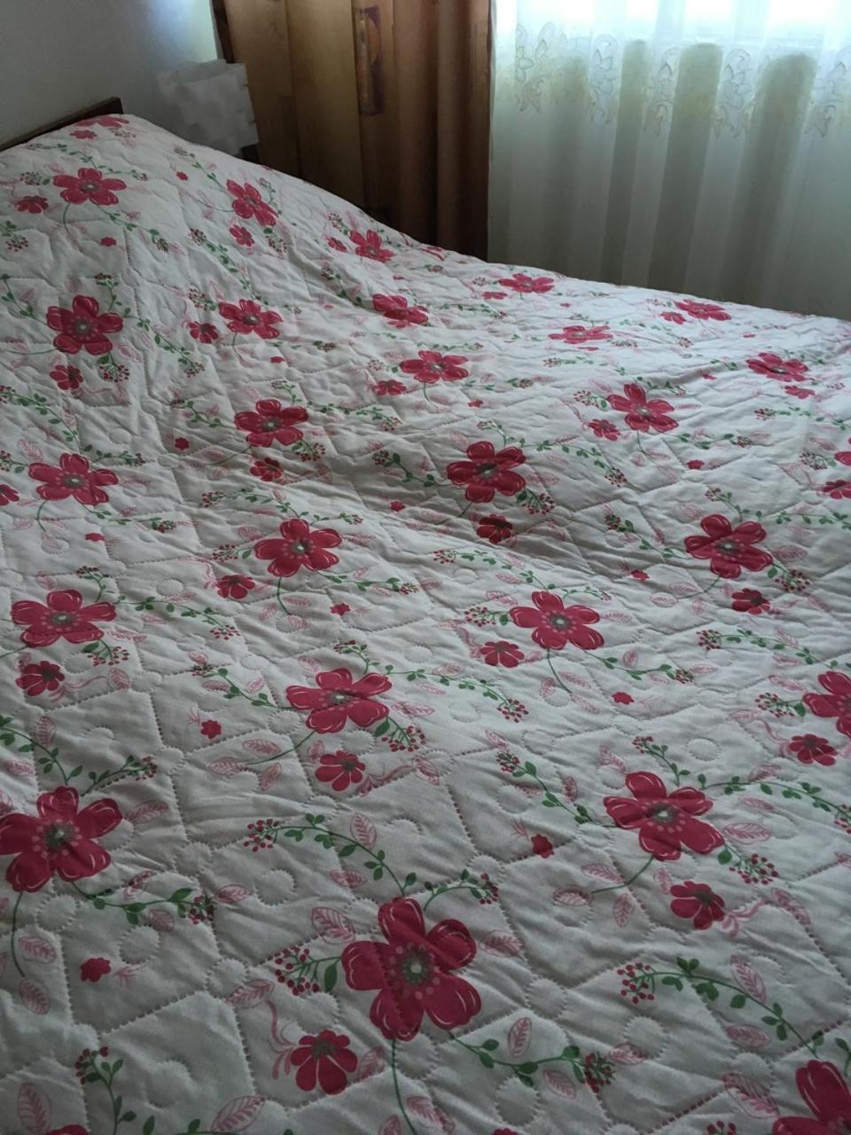 Apartaments In Karpaty Mizhhirya  Eksteriør billede