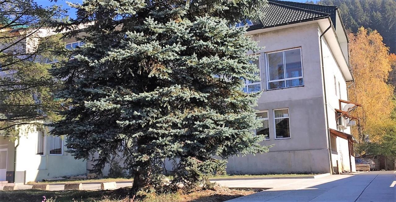 Apartaments In Karpaty Mizhhirya  Eksteriør billede
